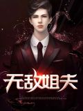 无敌姐夫 小说免费阅读