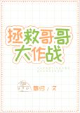 拯救哥哥大作战[快穿]百度云