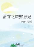清穿之康熙惠妃沈行原