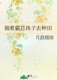 揣着霸总孩子去种田 小说