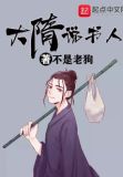大隋说书人境界划分
