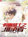 假面骑士之继承者力量小说