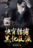 快穿猎捕黑化反派 小说