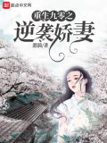 重生九零逆袭娇妻讲了什么