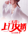 无敌上门女婿 追风不语