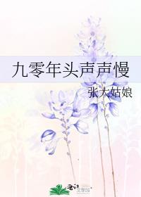 九零年头声声慢小说