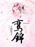 鸾锦小说免费阅读全文