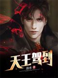 天王驾到演唱会