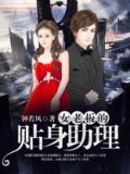 女老板的助理小说
