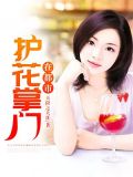 护花高手在都市全文阅读免费