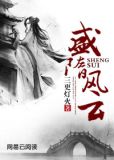 盛世大隋 小说