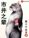 市井之辈好看吗