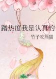 蹭热度我是认真的百度云