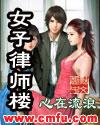 女子律师楼小说简介