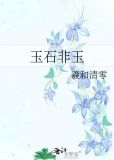 玉石非玉简介