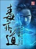 毒亦道小说