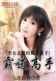 美女总裁的霸道高手漫画全集