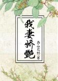 我的娇妻guo