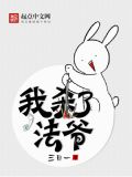 我杀了法爷TXT下载