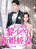 亿万盛宠历少闪婚