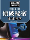 小说侦破