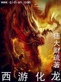 西游化龙系统