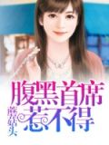 腹黑首席惹不起全文免