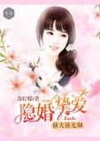 隐婚执爱,前夫请放手