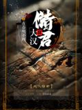 大汉储君免费