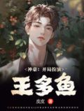 神豪:开局扮演王多鱼 皮皮的小说