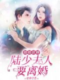 婚婚欲睡顾少夫人要离婚