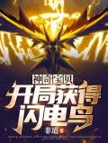 神奇宝贝:开局获得闪电鸟txt