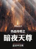 传奇暗夜神器攻略