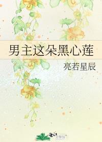男主这朵黑心莲TXT下载