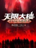 无限建筑小说
