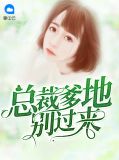 总裁爹地快认错免费阅读全书