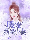 新婚不宠妻免费阅读全文