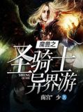 魔兽之圣骑士异界游
