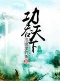 功被天下的意思