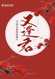 又逢君降噪丸子免费阅读