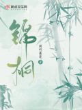 锦桐 闲听落花百度云