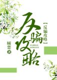 反骗攻略小说