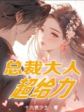 总裁大人超给力小说免费阅读全文