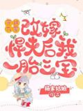 穿越九零,改嫁悍夫后我一胎三宝 杨家姑娘