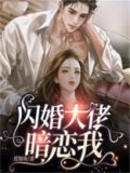 闪婚大老暗恋我小说