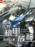 狂暴战机下载