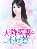天降宠婚霸总不好惹 苹果