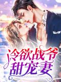 冷爷宠妻为上