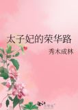 太子妃的荣华路TXT下载