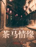 茶马情轻奢酒店